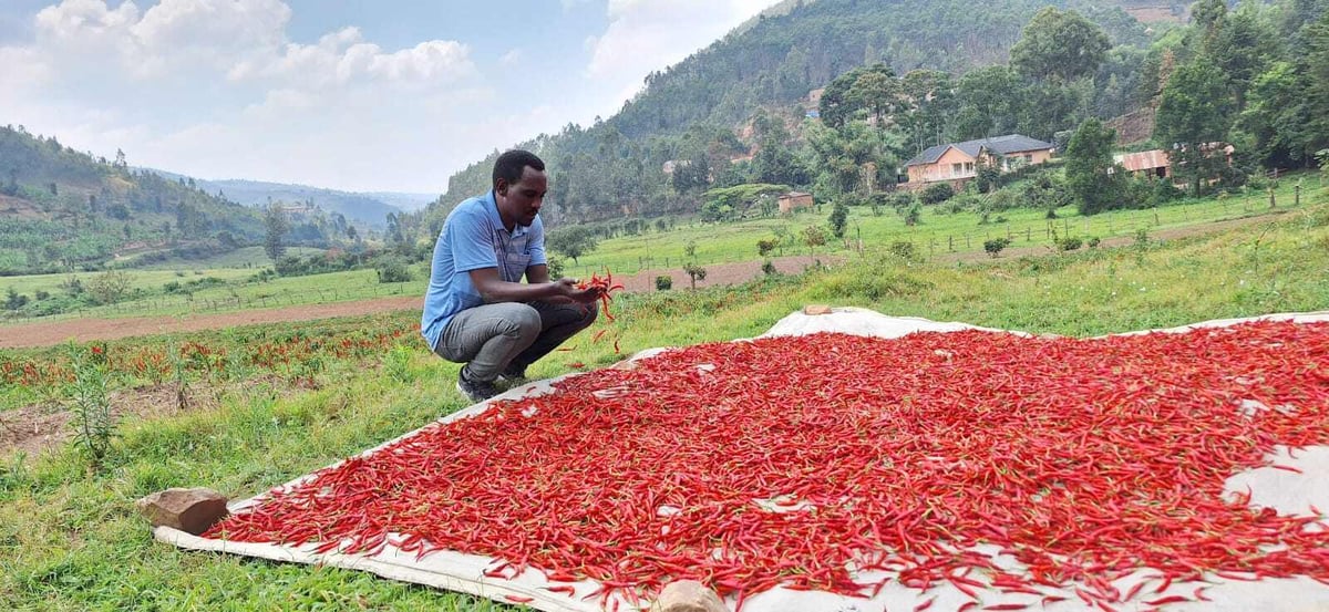 Farmers-in-field2